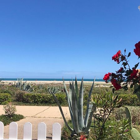 Barcaresa-La Perle Vue Mer Pieds Dans L'Eau Clim Wifi Leucate Exterior photo