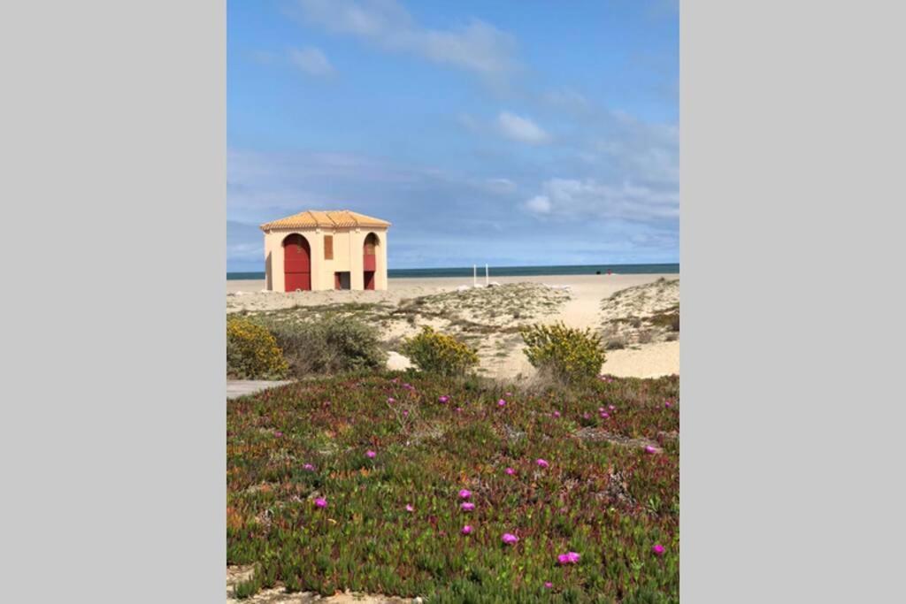Barcaresa-La Perle Vue Mer Pieds Dans L'Eau Clim Wifi Leucate Exterior photo